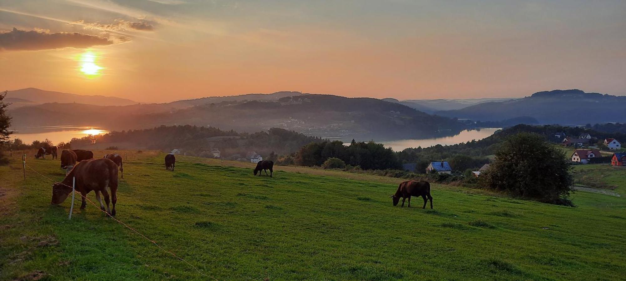 Lazurowy 53 Z Tarasem I * Grodek Nad Dunajcem